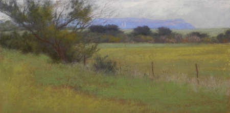 Santa Anna Peaks by artist Jeri Salter
